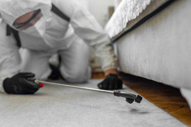 Professional Cockroach Control technician working in Cleora, OK