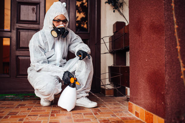 Reliable Cockroach Control contractor in Cleora, OK by Nex Pest Control