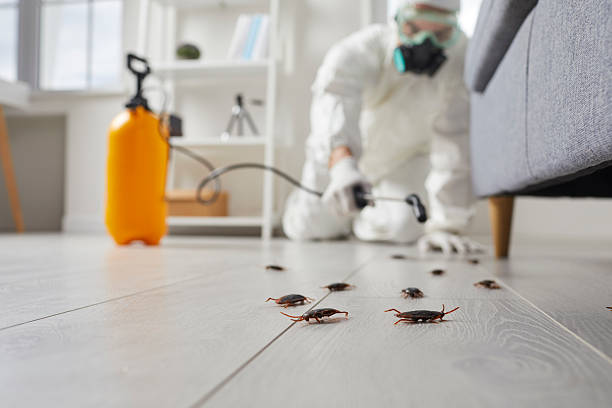 Affordable Cockroach Control solutions in Cleora, OK